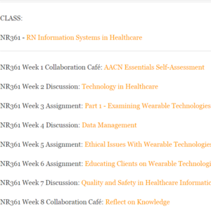 NR361 - RN Information Systems in Healthcare