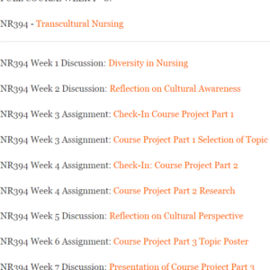 NR394 - Transcultural Nursing