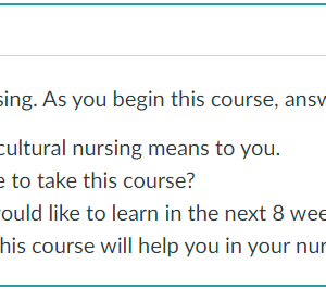 NR394 Week 1 Discussion: Diversity in Nursing