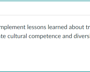 NR394 Week 8 Discussion: Reflection on Transcultural Nursing