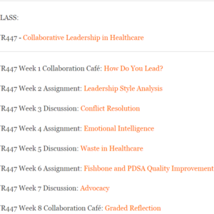 NR447 - Collaborative Leadership in Healthcare