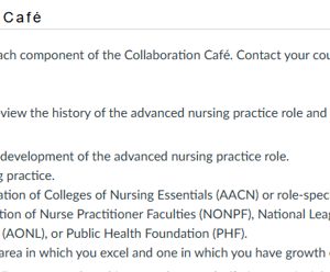 History of Advanced Nursing Practice Role