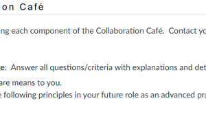 NR581NP Week 4 Collaboration Café: Person-Centered Care and Cultural Humility