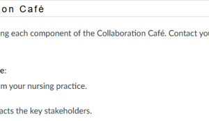 NR581NP Week 6 Collaboration Café Ethical Dilemma