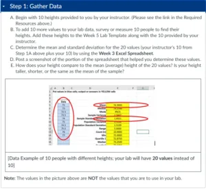 Week 5 Lab Assignment