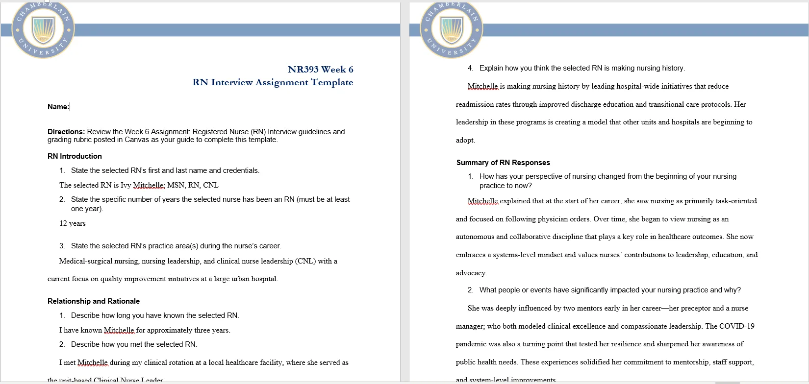 NR393 Week 6 Assignment: Registered Nurse (RN) Interview