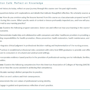 NR393 Week 8 Collaboration Café Lessons from Nursing History