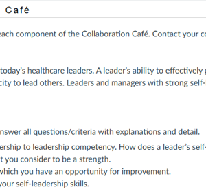 NR582N Week 2 Collaboration Café: Self-Leadership