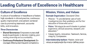 NR582NP Week 4: Leading Cultures of Excellence Infographic