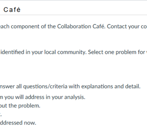 NR582NP Week 6 Collaboration Café Policy