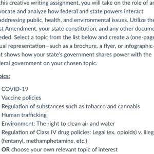 POLI330N Week 2 Creative Writing Assignment: Analyzing Public Policy Through a Lens of Federalism
