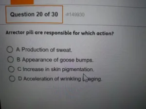 HESI A2 Anatomy & Physiology (August 2026)