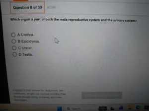 HESI A2 Anatomy & Physiology (August 2026)