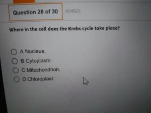 HESI A2 Biology (August 2026)
