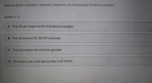 BIOS241 Week 5 Exam 2 (Oct 2026)