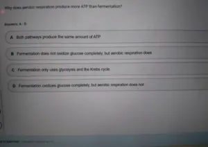 BIOS241 Week 5 Exam 2 (Oct 2026)