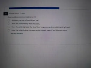 NR511 FNP Pre-Clinical Diagnostic Exam Sept 2026