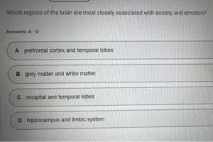 NR546 Week 4 Midterm Exam May 2026