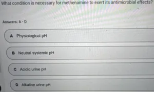 NR566 Week 4 Midterm Exam
