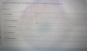 BIOS256 Week 5 Exam 2 (Oct 2026)