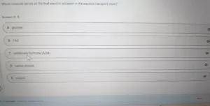 BIOS256 Week 5 Exam 2 (Oct 2026)