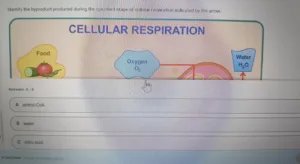 BIOS256 Week 5 Exam 2 (Oct 2026)