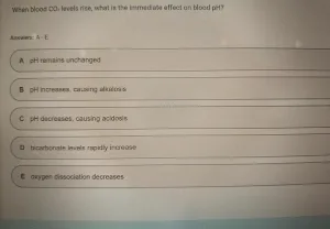 BIOS256 Week 8 Exam 3 (Oct 2026)