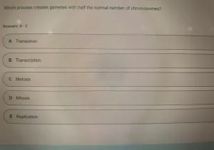 BIOS256 Week 8 Exam 3 (Oct 2026)